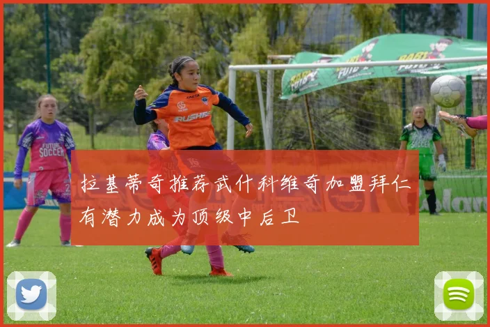 拉基蒂奇推荐武什科维奇加盟拜仁有潜力成为顶级中后卫